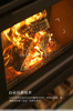 Large glass door wood stove A2 